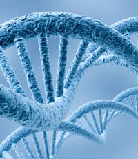 Ученые смогли «вырезать» гены ВИЧ из ДНК