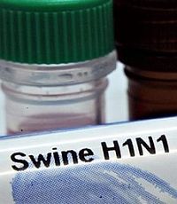 В Европе подтвержден первый случай смерти от гриппа A/H1N1