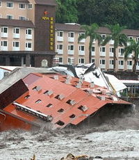 Тайфун "Моракот": 153 погибших, 464 пропавших без вести