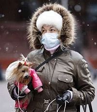 В Киев пришла вторая волна гриппа?