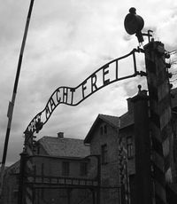 Меркель напомнила, кто освободил узников Освенцима