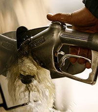 Антимонопольный комитет требуют снизить цены на бензин