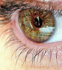 Найдено лекарство от рака глаза