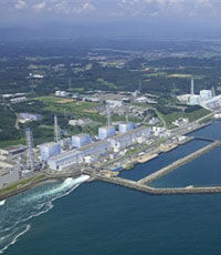 В префектуре Фукусима цезий обнаружен в пшенице и рапсе