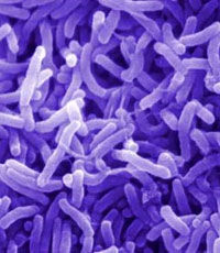 Число заболевших холерой в Мариуполе увеличилось до 4 человек