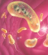 В Мариуполе подтвердили еще один случай заболевания холерой