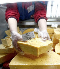 Экспорт украинского сыра упал на 37%
