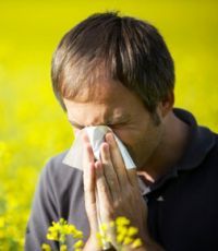 Аллергия спасает от худшего