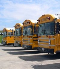 Школьные автобусы влияют на здоровье