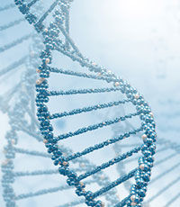 ДНК выдает реальный возраст человека
