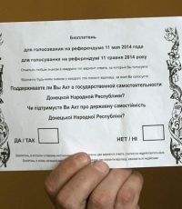 Председатель ЦИК ДНР: досрочного начала референдума не было