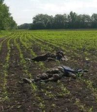16 украинских солдат убиты под Волновахой