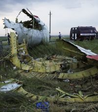 Половина россиян поддержали создание трибунала по «Боингу»