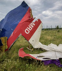ОБСЕ поможет экспертам добраться к месту крушения Boeing в Донбассе