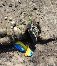 ДНР: около 40 тел украинских военных обнаружены в поселке Сладкое