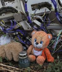 Спасатели ДНР в апреле собрали более 17 тонн обломков Boeing MH17