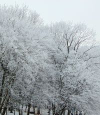 На Украине ожидаются небольшие морозы и снег
