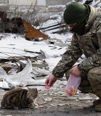 СЦКК: в районе Широкина налажен диалог между ополченцами и силовиками