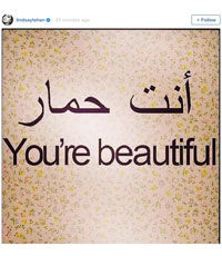 Линдси Лохан назвала своих подписчиков ослами по-арабски