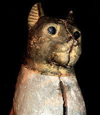 Две трети древнеегипетских мумий животных оказались фальшивыми
