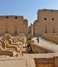 На юге Египта смертник подорвался у Карнакского храма