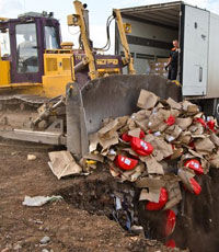 В России за сутки уничтожили 320 тонн санкционных продуктов