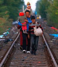 Меркель: перекрытие "балканского маршрута" не решит проблему массовой миграции