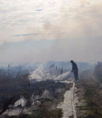 Под Киевом продолжают тушить 14 очагов возгорания торфяников