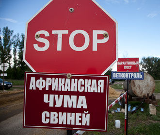 В Харьковской области Украины зафиксировали новую вспышку АЧС
