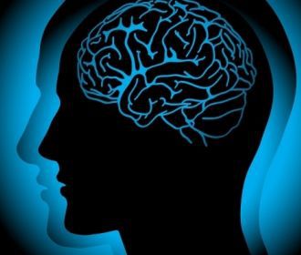 Найдена связь между извилинами мозга и характером