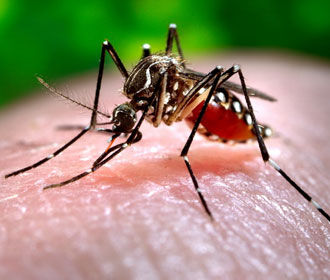 Найден способ "спрятать" человека от комаров