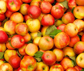 Белорусский импорт яблок в Россию в пять раз превысил собранный урожай