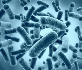 Исследователи приблизились к решению проблемы устойчивости бактерий