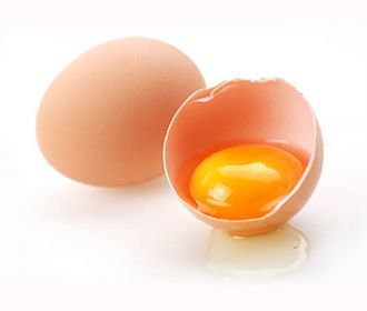 Куриные яйца станут основой лекарств нового поколения