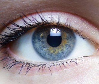 Новые капли для глаз обещают затормозить потерю зрения