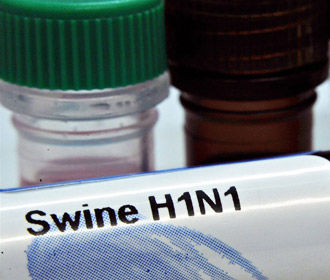 В Грузии подтвердили 10 смертельных случаев заболевания вирусом свиного гриппа