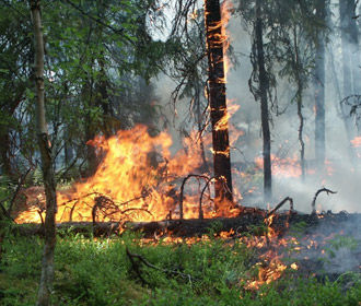 В Украине объявили чрезвычайную пожарную опасность
