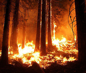 В Украине до конца недели будет чрезвычайно пожароопасно