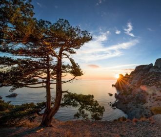 Ростуризм: Крым может побить тридцатилетний рекорд по числу туристов