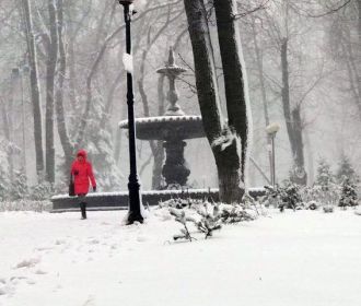 В Украину в ближайшие сутки придут снег и метели