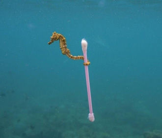 Ежегодно в океан попадает до 12 млн тонн пластика