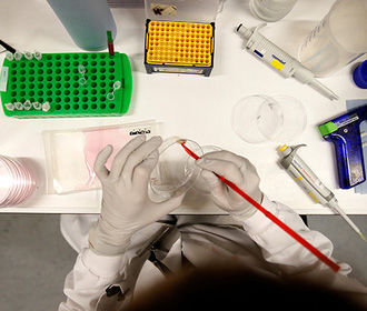 The Guardian: у разведок Великобритании и Австралии нет данных об утечке коронавируса из лаборатории в Китае