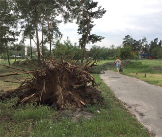 Спасатели в Киеве откачивают воду в местах подтопления и убирают поваленные деревья
