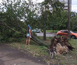 В Киеве никто не пострадал вследствие непогоды, повалены более 200 деревьев и 5 опор ЛЭП