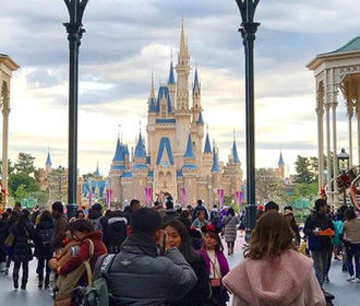 В США разрешили поэтапное открытие Disneyland