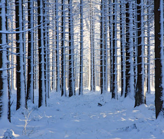 В Украине в ближайшие сутки морозы ослабеют, местами пройдет небольшой снег