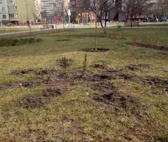 В Киевском парке украли сотни деревьев и кустов
