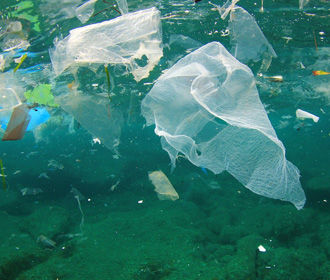Оржель призвал нардепов ускорить запрет пластиковых пакетов