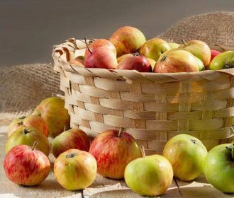 В 2019 году импорт яблок на Украину вырос в 6 раз, а картофеля - в 700