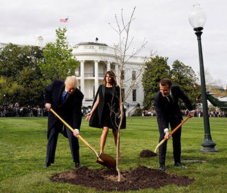 США присоединятся к инициативе по высадке триллиона деревьев, - Трамп
